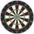 Target Aspar Professional Dartboard - view 1